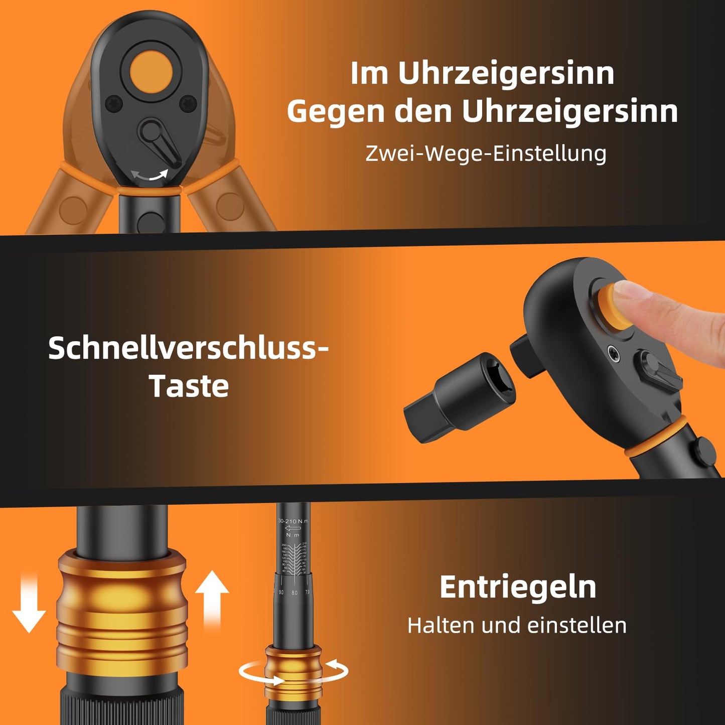 Chiave Dinamometrica Bici, Set Chiavi a Cricchetto 1/4 di Pollice 2-24 Nm, Cricchetto Reversibile a 72 Denti, Precisione di Errore ± 3%, con Adattatore da 3/8", Punte Phillips Hex e Torx